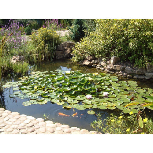 0.5mm PVC Pond Liner 4m x 3m
