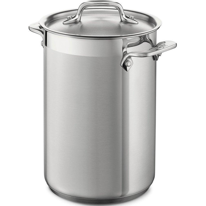 All-Clad Stainless Steel Asparagus Pot with Insert - Discover Gourmet