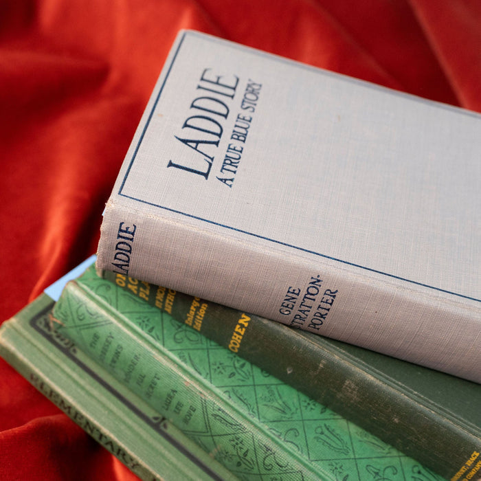 Antique 1913 "Laddie, A True Blue Story" Book