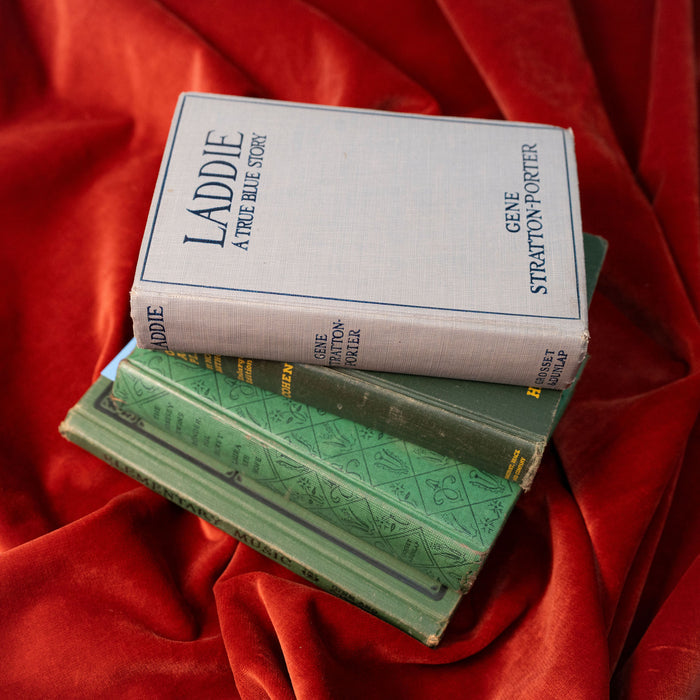 Antique 1913 "Laddie, A True Blue Story" Book