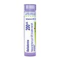 A single tube of Boiron Belladonna 200ck, a purple and white medicine tube with blue and green text, on a plain white background.