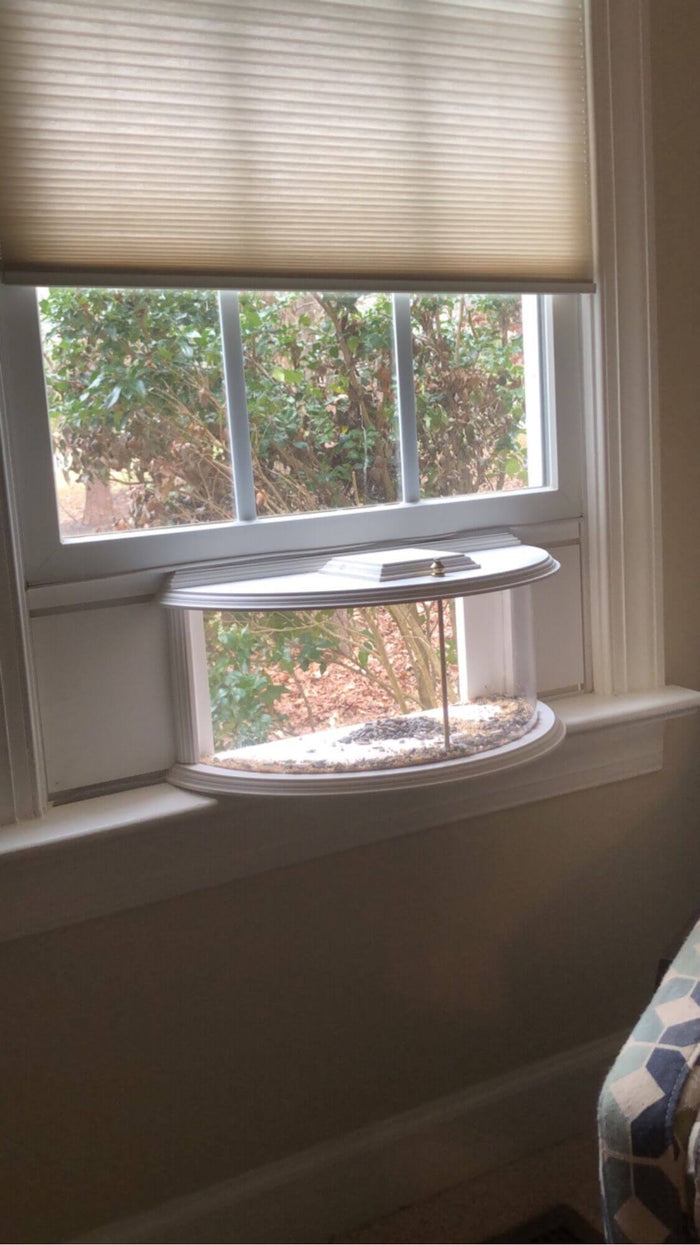 side view clearview window bird feeder