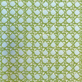 CANERY BEAU - OUTDOOR FABRIC