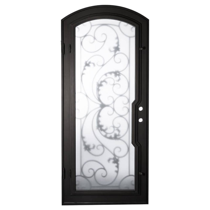 Dream black finished arch top metal single door.