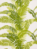 LIGHT GREENS ON WHITE