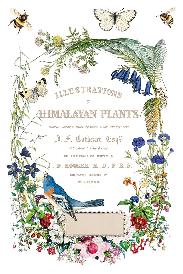 Decorative title page with illustrations of Himalayan plants, birds, and butterflies on a white background.