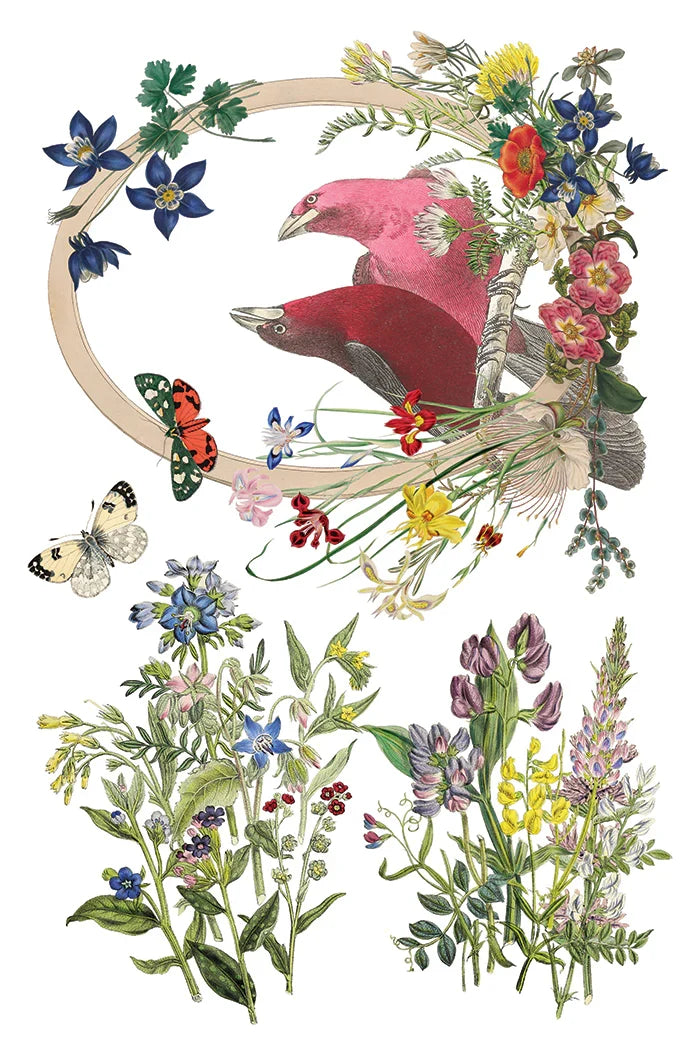 Decorative illustration of birds and flowers in a circular arrangement