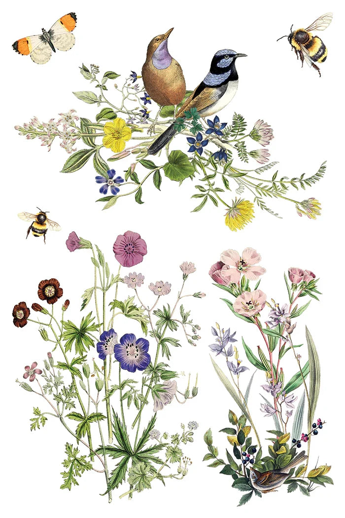 Illustration of birds, butterflies, bees, and various flowers on a white background
