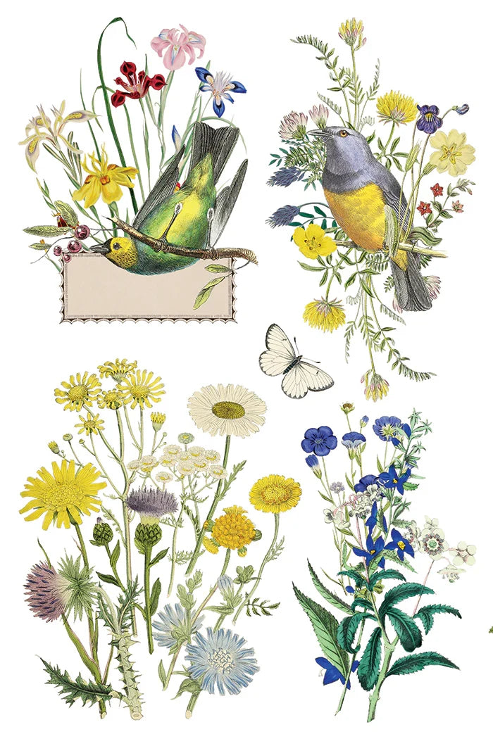 Illustrations of birds, butterflies, and flowers on a white background