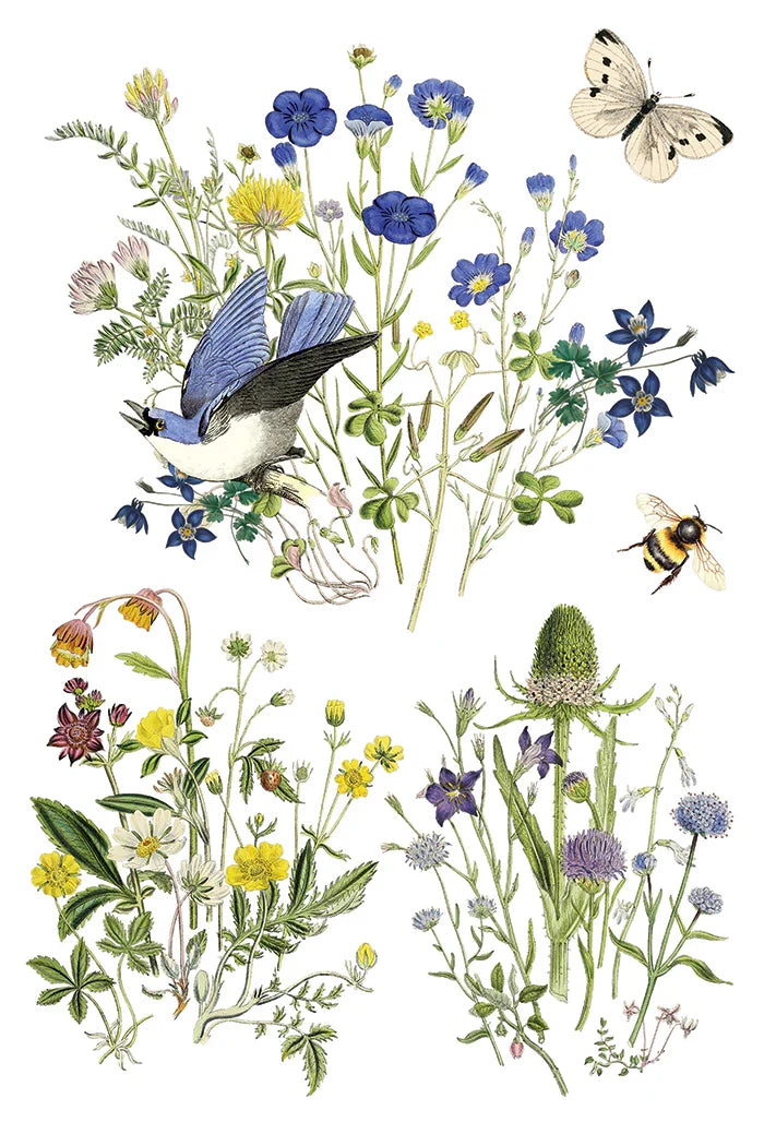 Illustration of birds, butterflies, and bees among flowers and plants.