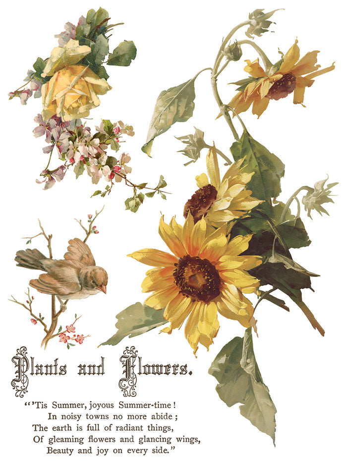Vintage-style illustration of sunflowers, birds, and flowers with text on a white background.