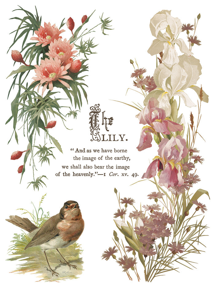 Vintage-style illustration of flowers and a bird with text on a white background