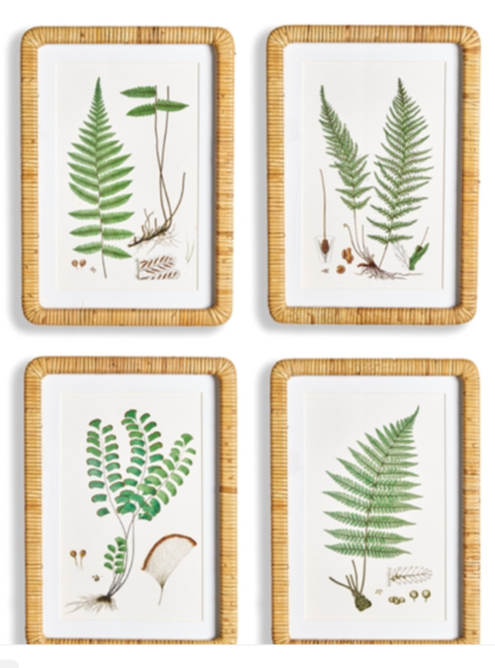 FOREST FERMART PRINTS RATTAN FRAME