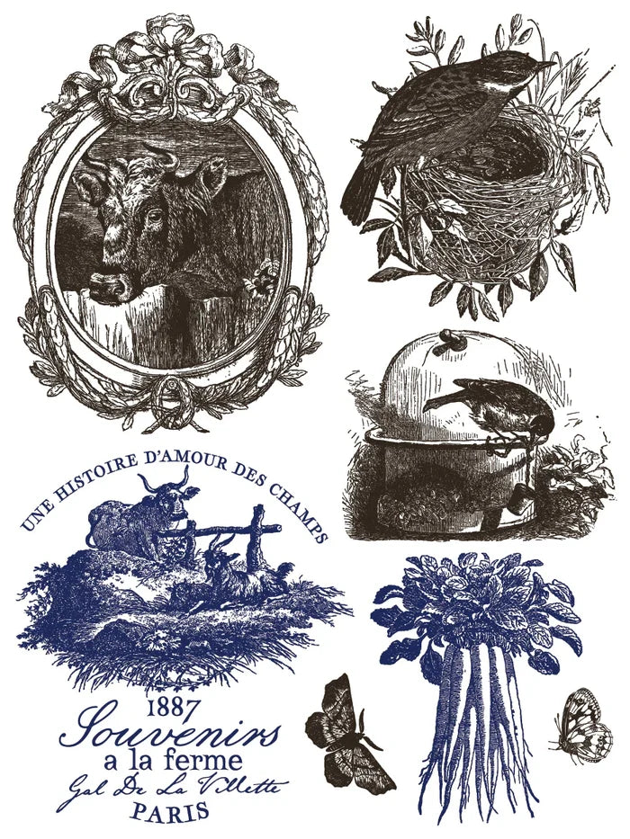 Collection of vintage-style illustrations with nature, birds, butterflies, and rustic elements.