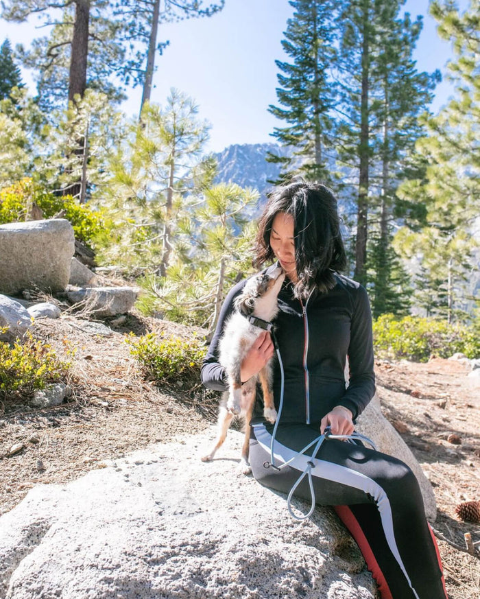 Hands-Free Dog Leash