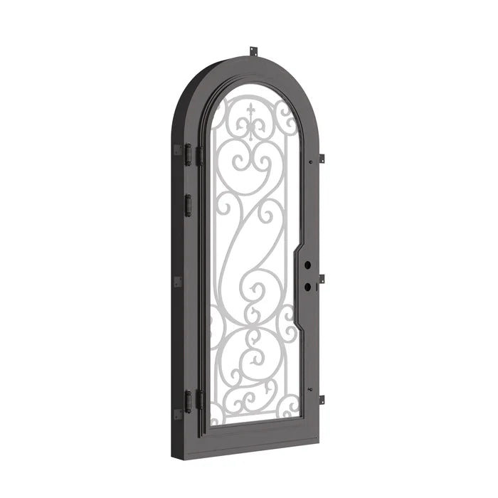 Hills thermally broken single full arch entry door in black.