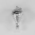 Hot Air Balloon