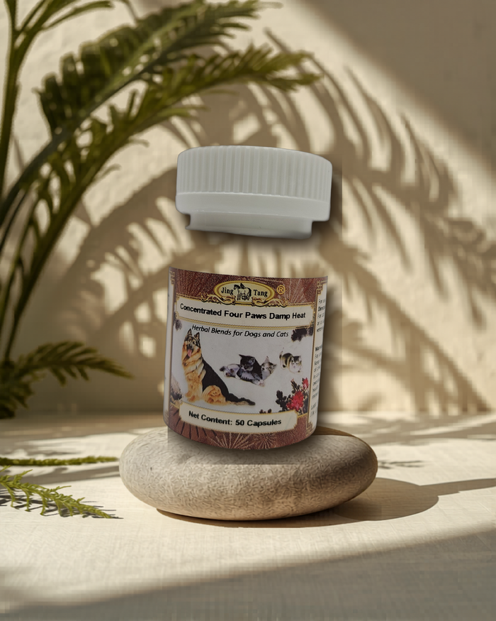 Jing Tang Herbals: Concentrated External Wind 0.2g capsule (50 capsule bottle)