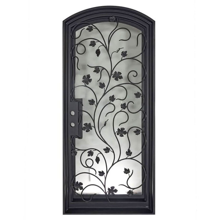 June black iron single eyebrow arch top door with dual-pane glass.