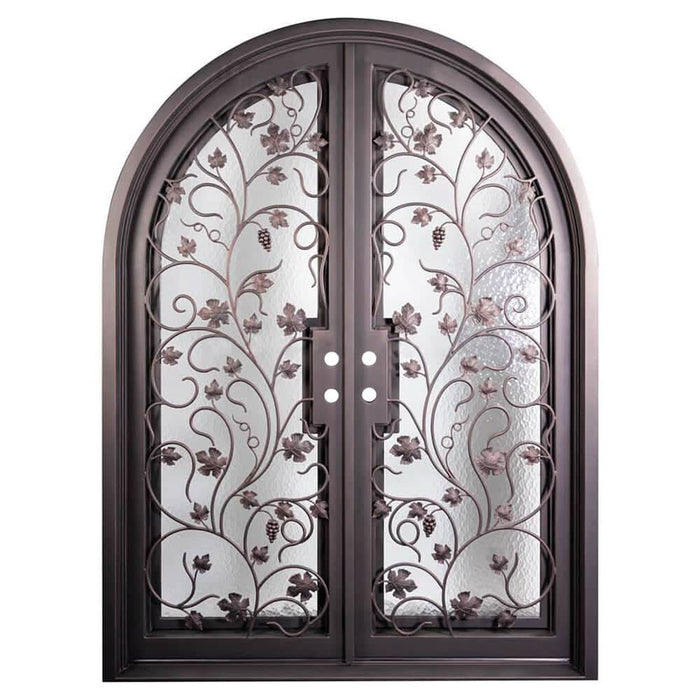 June full arch top iron french door with clear glass.