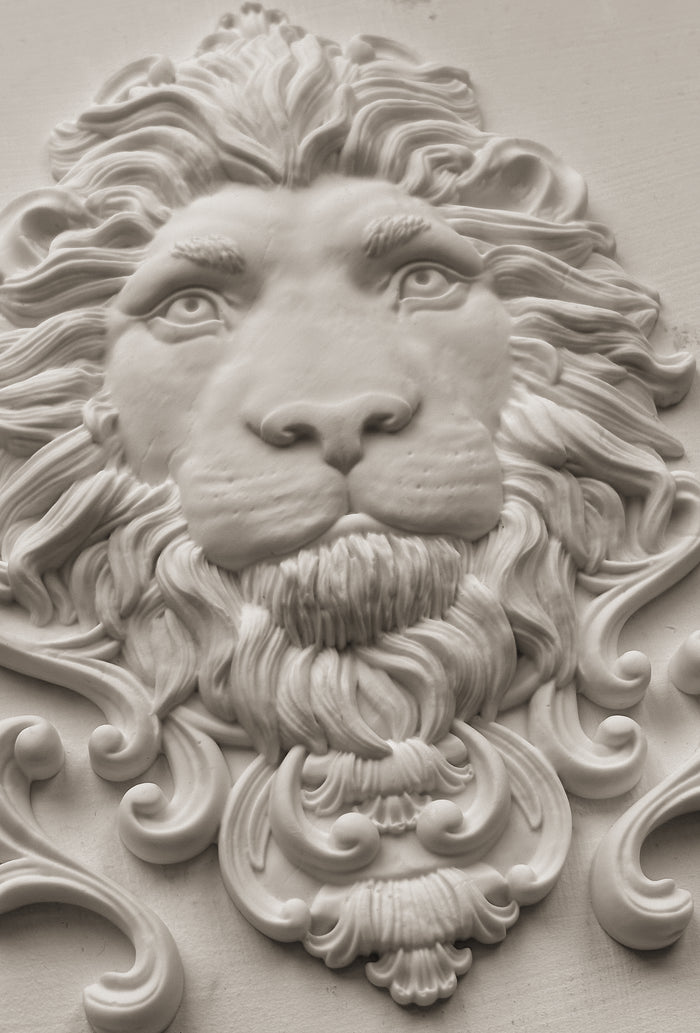 Leonidas 5x7 IOD Mould™