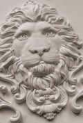 Leonidas 5x7 IOD Mould™