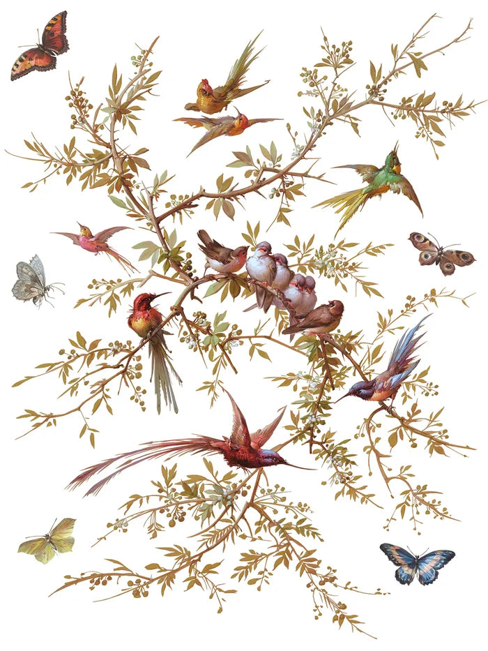 Illustration of birds and butterflies on a white background