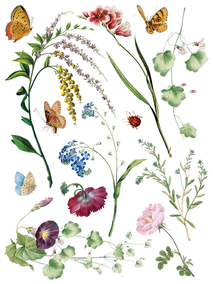 Illustration of various flowers and butterflies on a white background