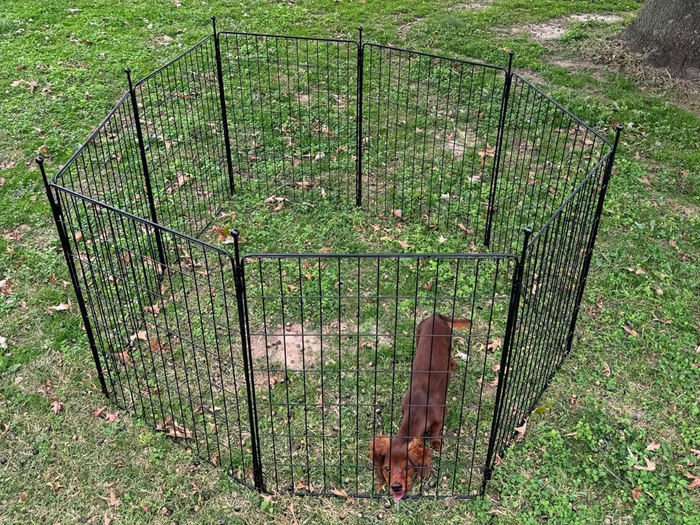 MiniPaws Dog Playpen Designed for Puppies / Small Dogs