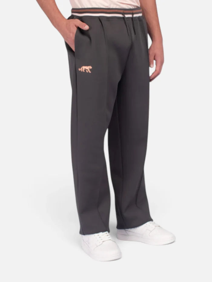 Pantalon Le Coq Sportif Pumas Gris