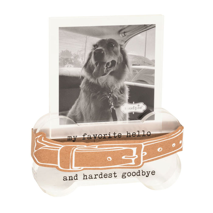 Pet Collar Memorial Frame