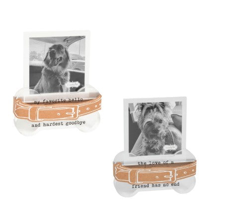 Pet Collar Memorial Frame