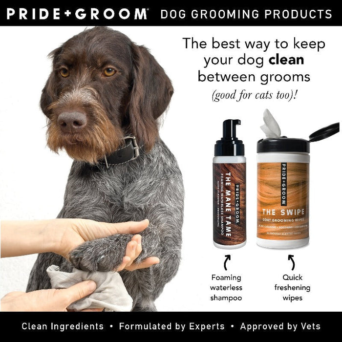 Pride + Groom THE MANE TAME Waterless Dog & Cat Shampoo