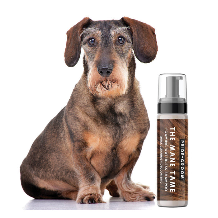 Pride + Groom THE MANE TAME Waterless Dog & Cat Shampoo