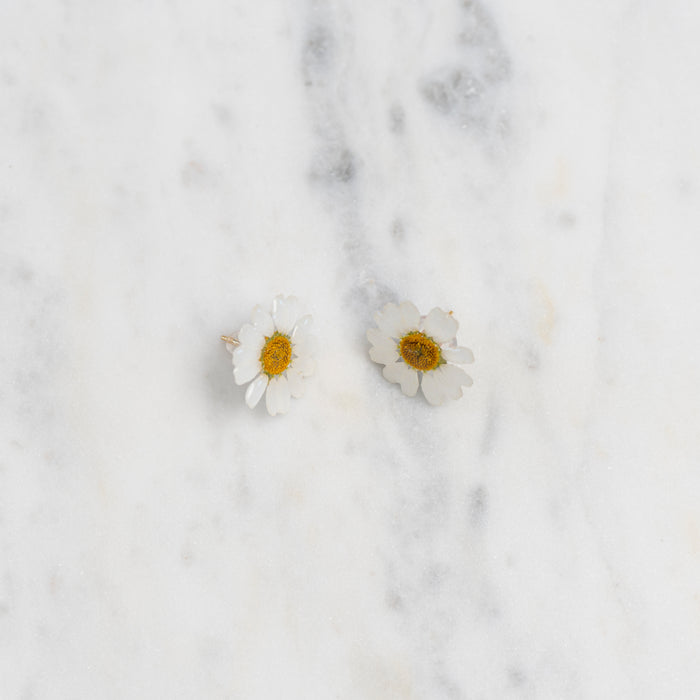 Chammomile Studs