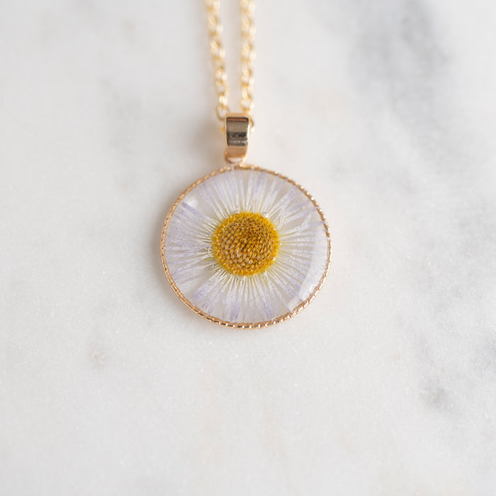 Fleabane (3/4") and 18" Gold Vermeil Chain
