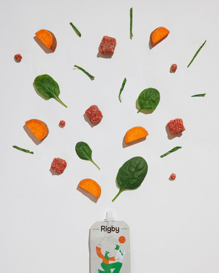 Rigby Organic Beef Pouch - 6 Pack