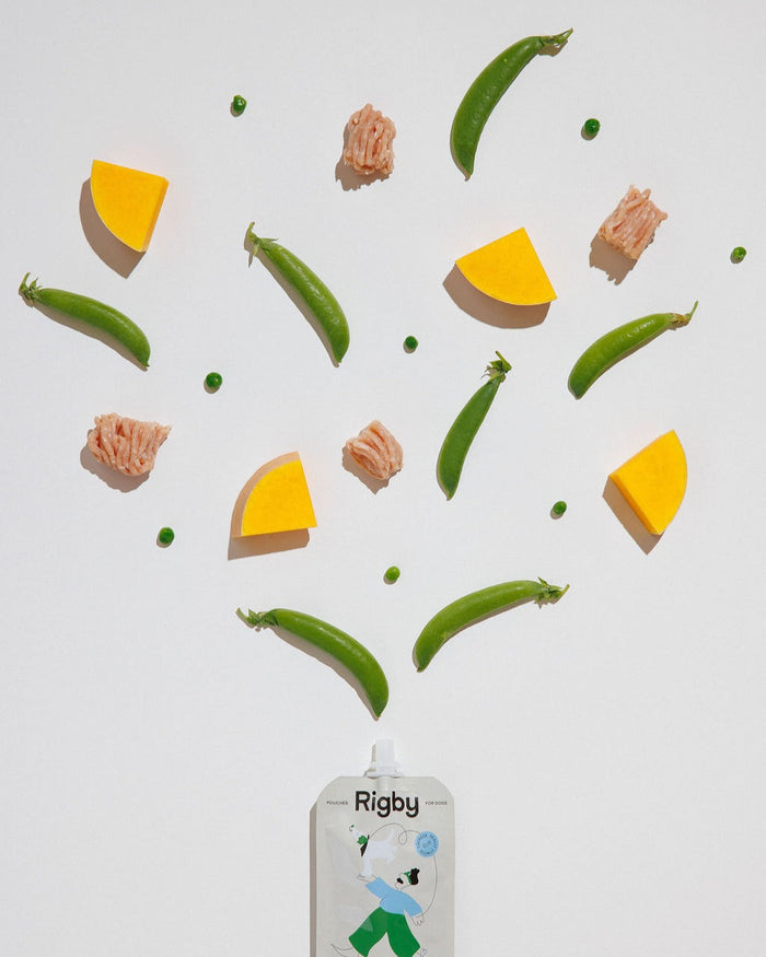 Rigby Organic Chicken Pouch - 6 Pack