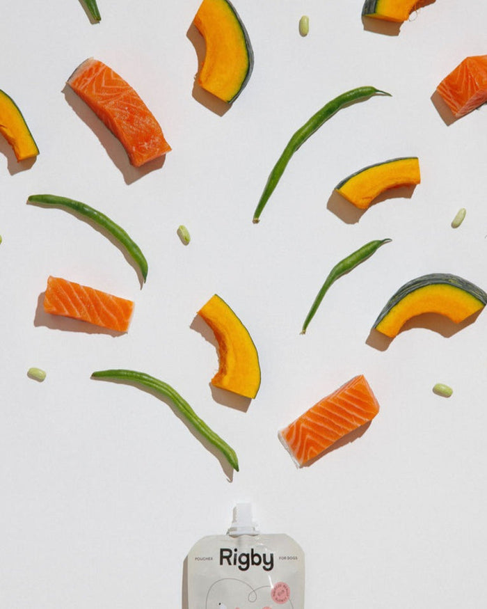 Rigby Organic Salmon Pouch - 6 Pack