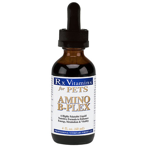 RX Vitamins Amino B-Plex 4 fl oz
