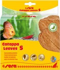 sera Catappa Leaves S For sale |Splashy Fish