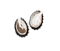 SHELL PINCH BOWLS WITH SPOONS