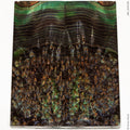 Stabilized wood black ash burl panels