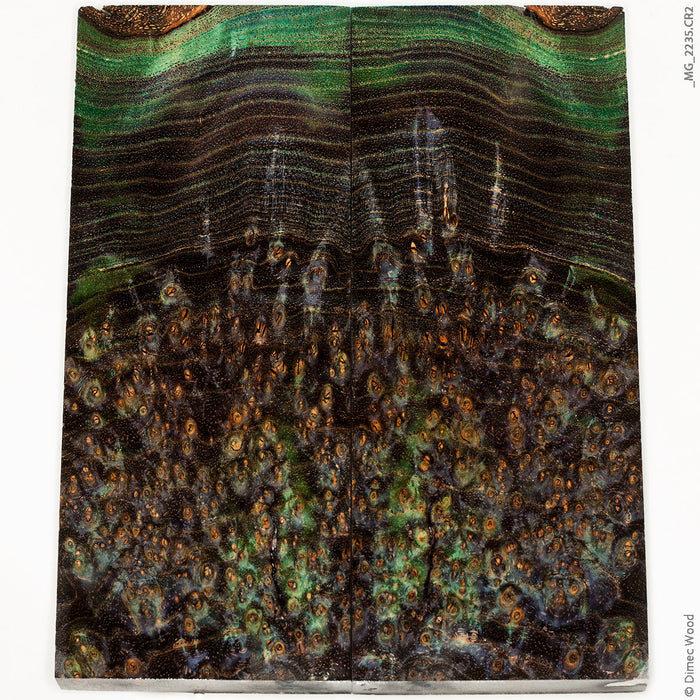 Stabilized wood black ash burl panels