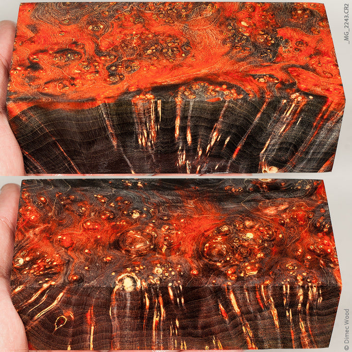 Stabilized wood box elder burl block