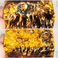 Stabilized wood box elder burl block