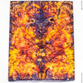Stabilized wood box elder burl panels