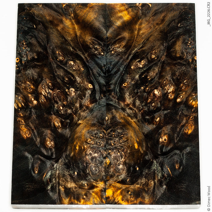 Stabilized wood box elder burl panels