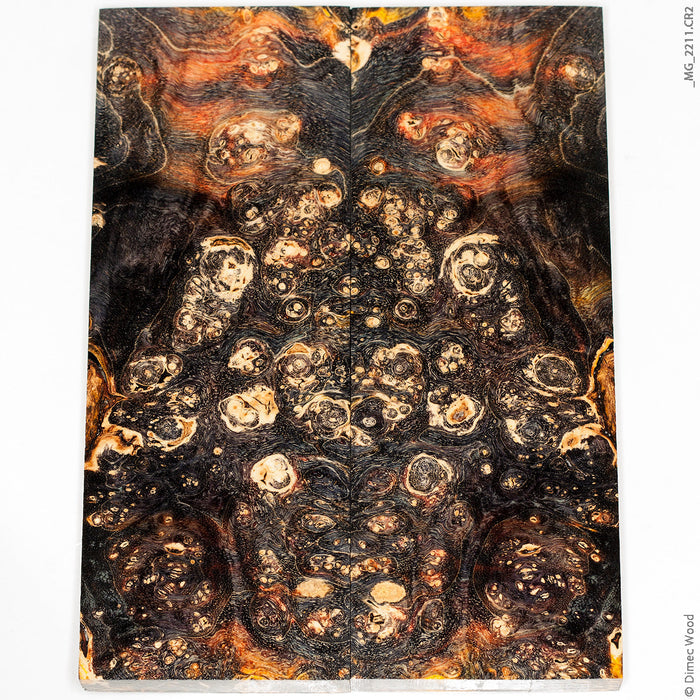 Stabilized wood box elder burl panels