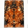 Stabilized wood box elder burl panels